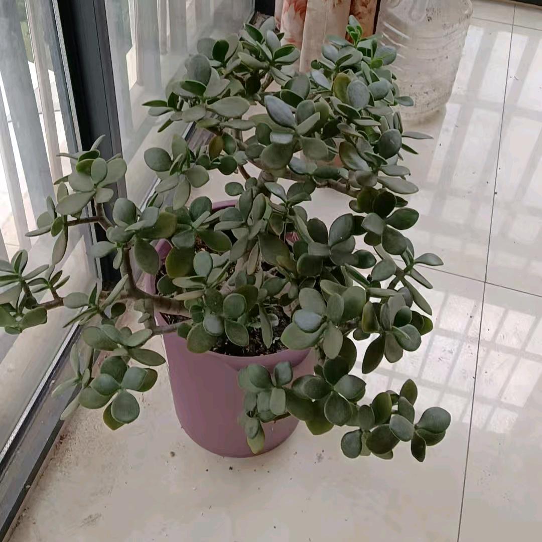 从今天起，开心快乐每一天