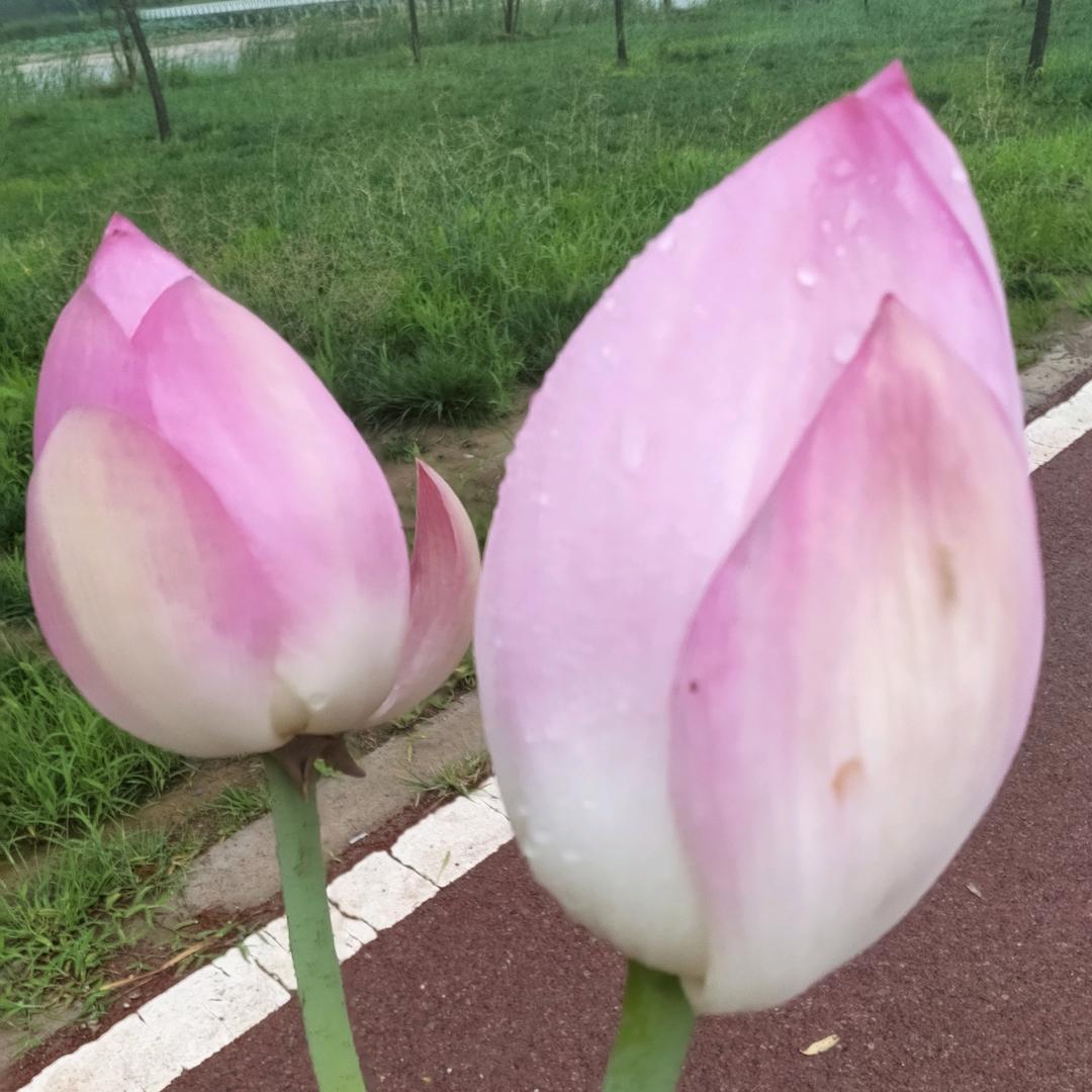 暖心