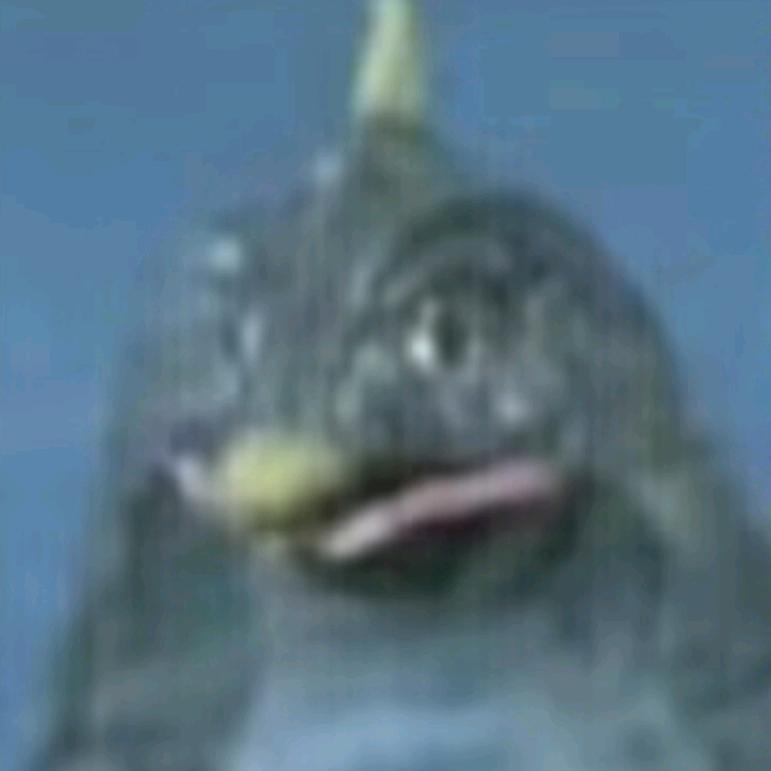 阿侬lc