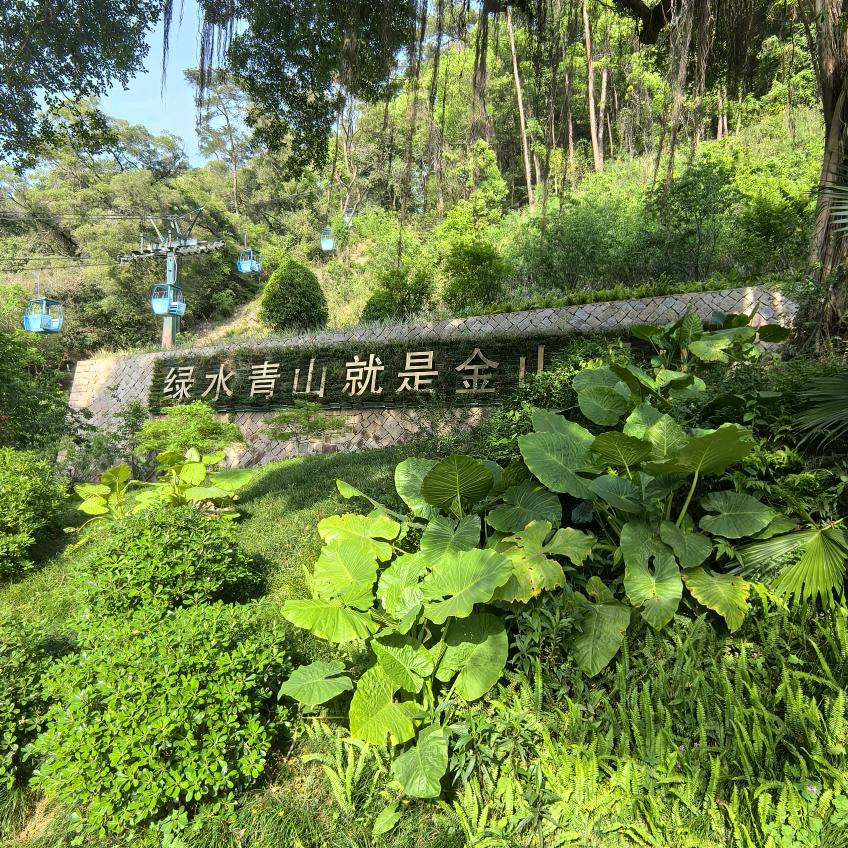 小飞爱分享
