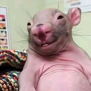 发现男神是个0后怒扮男装和他玩4i