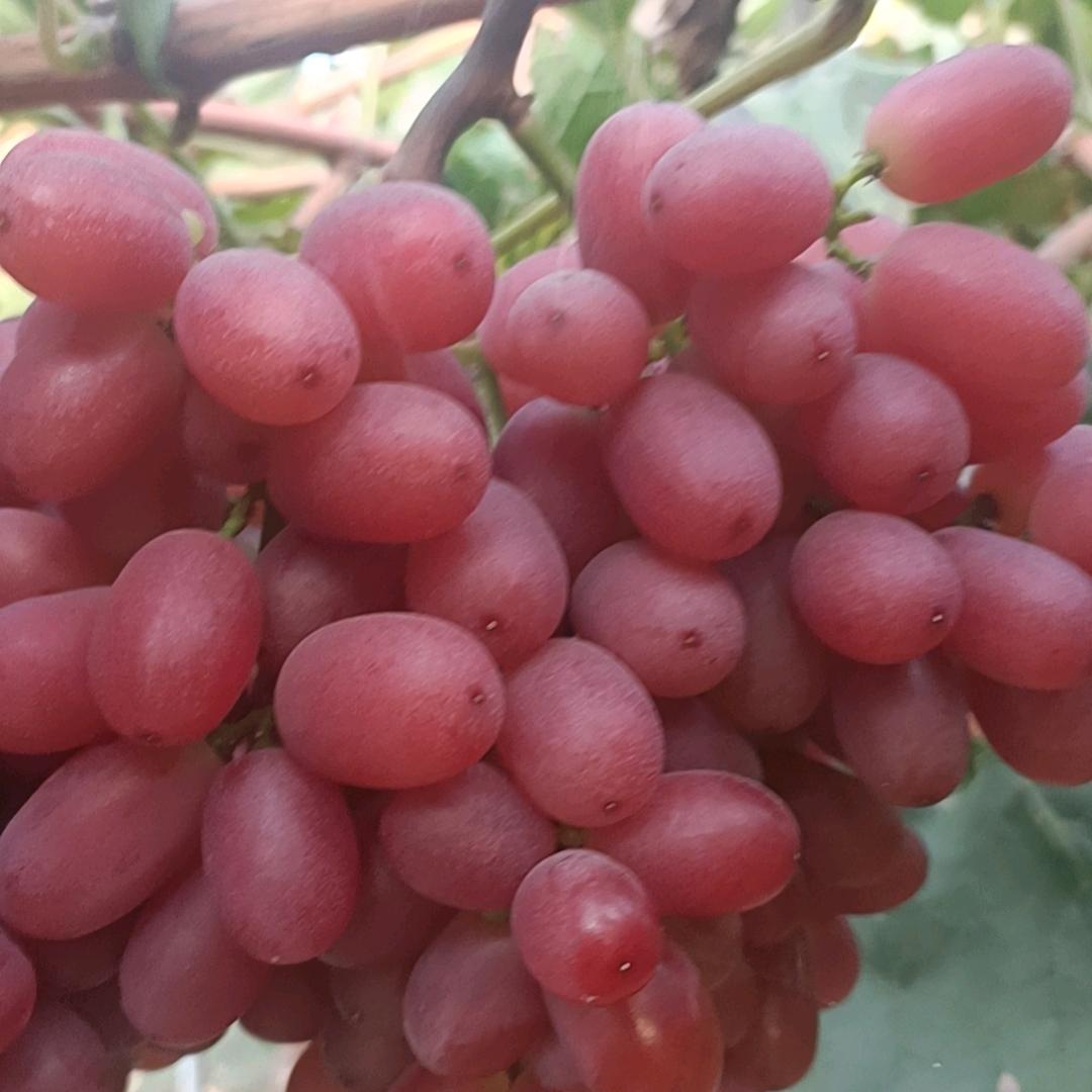 。。。。。。。。