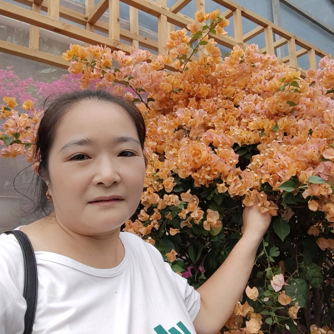 繁心少女