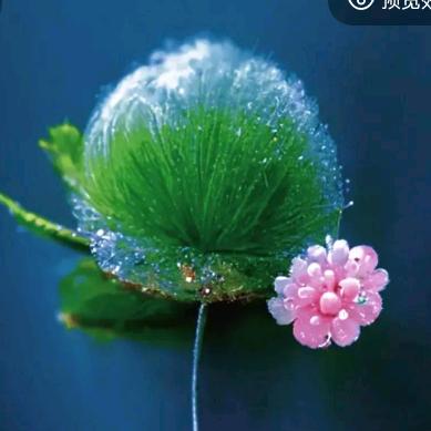 时光荏苒