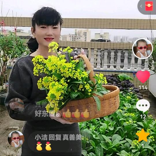 爱种菜的雨姐