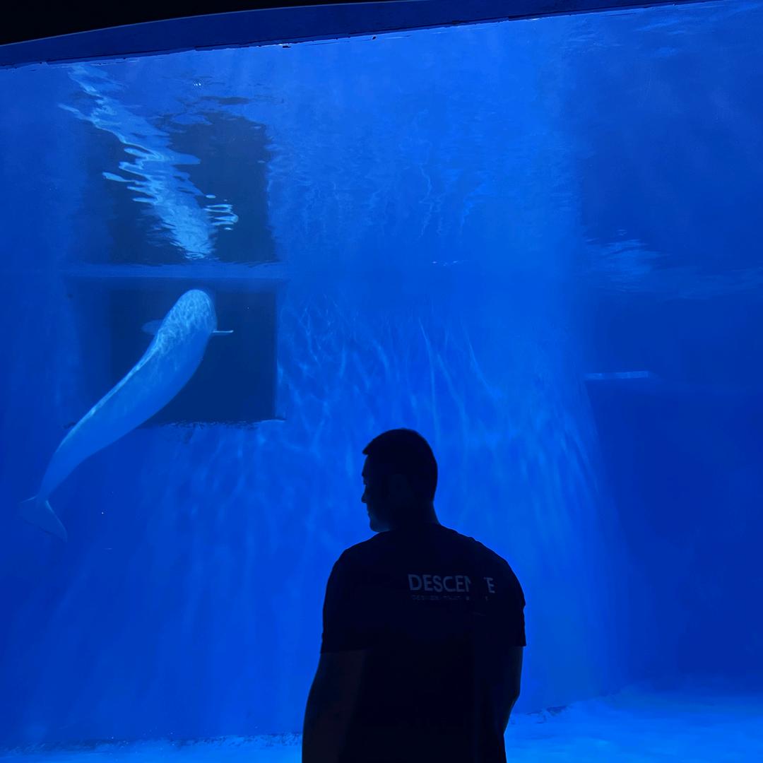 190的佳雷