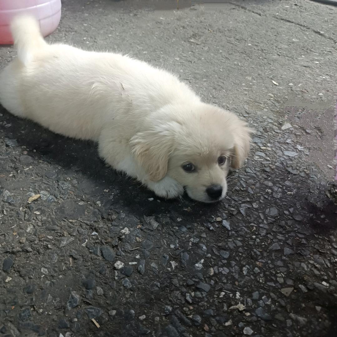 西元前