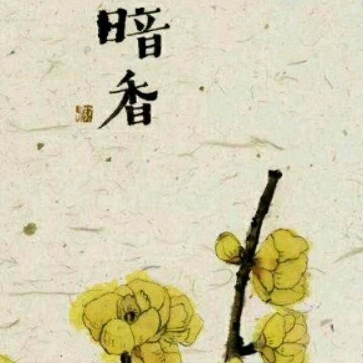 暗香盈袖