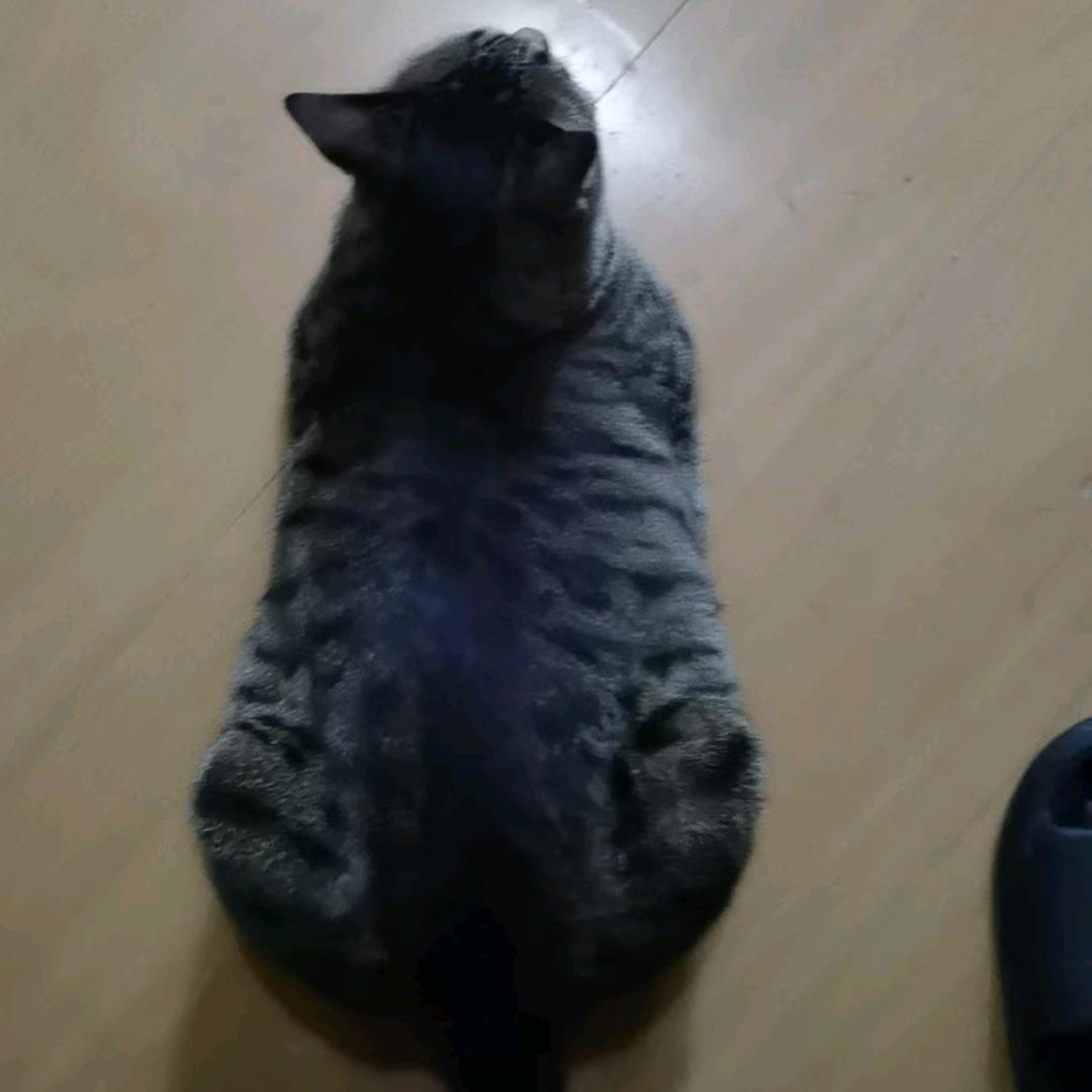 大漠孤烟