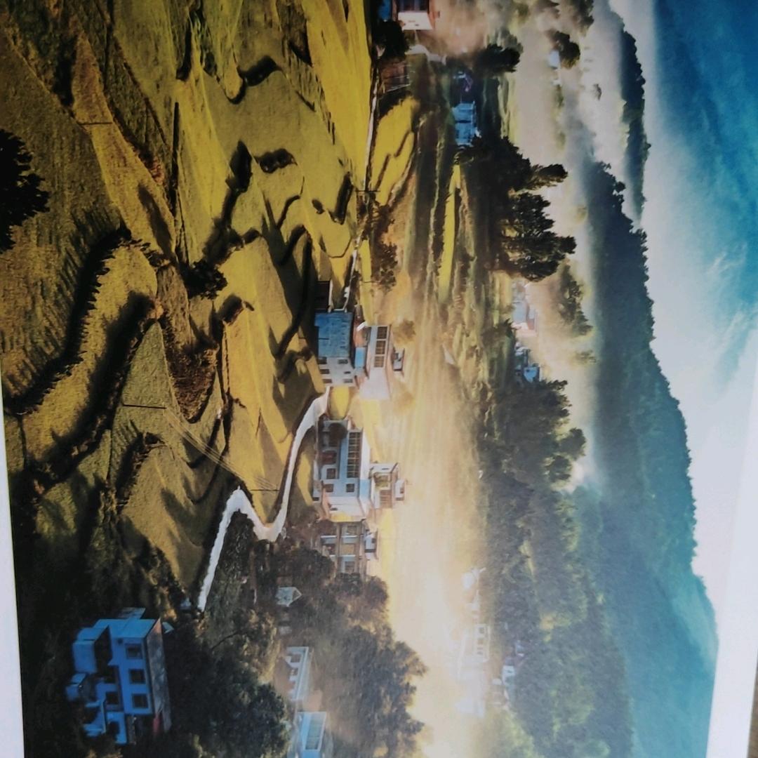 514411