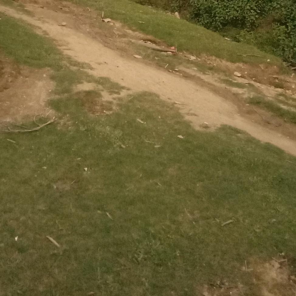莹