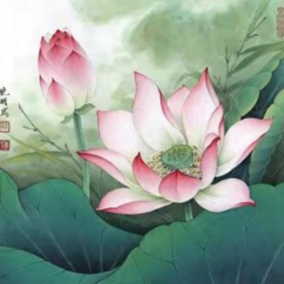 蓝色雨林