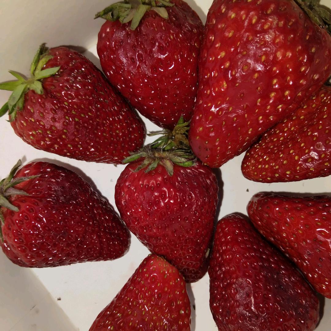 琴琴家政专业擦玻璃