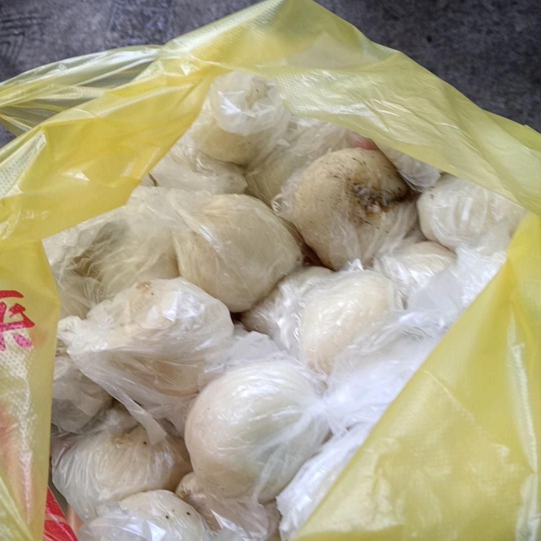 爱你一辈子不忘