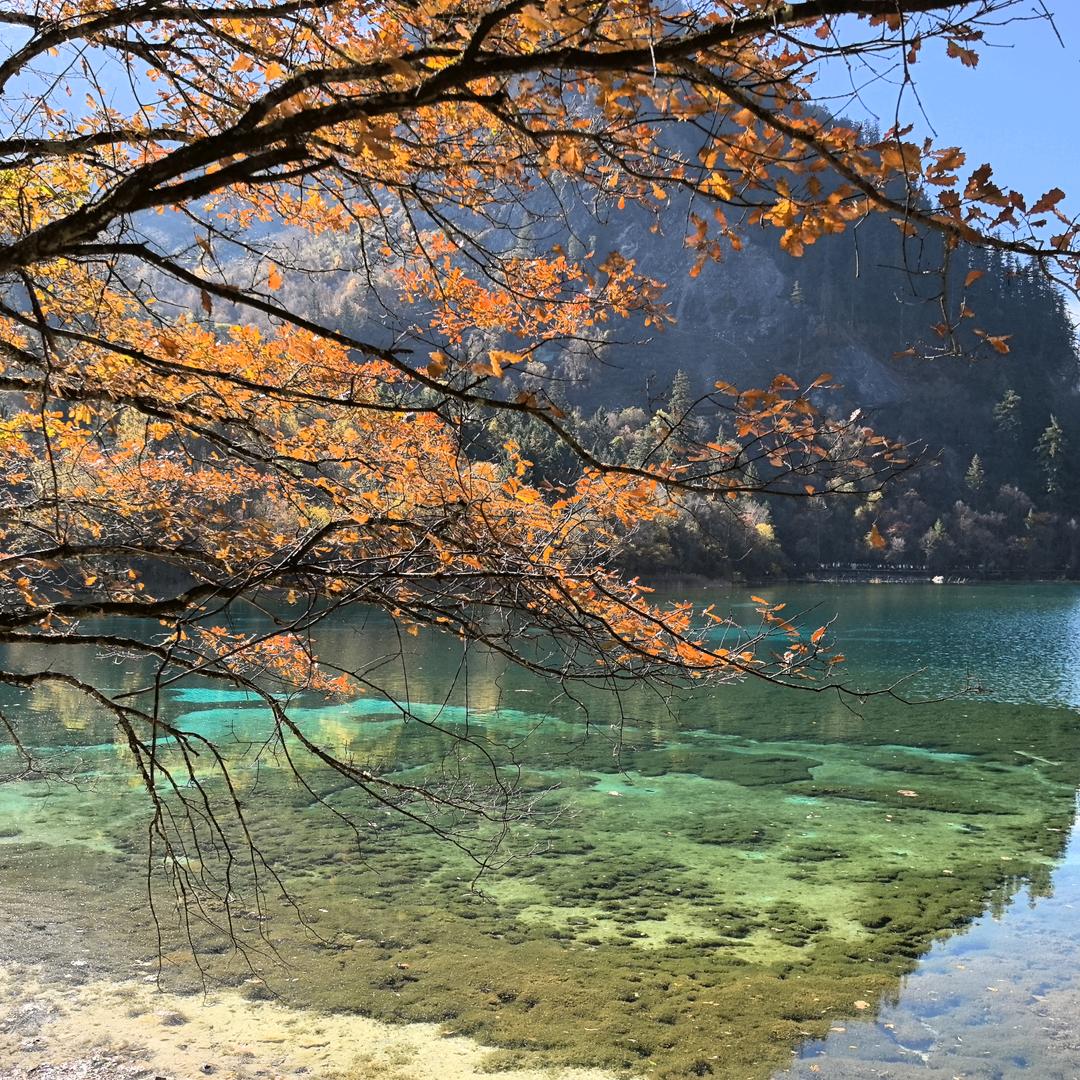 逍遥游八方⁹⁴⁶¹