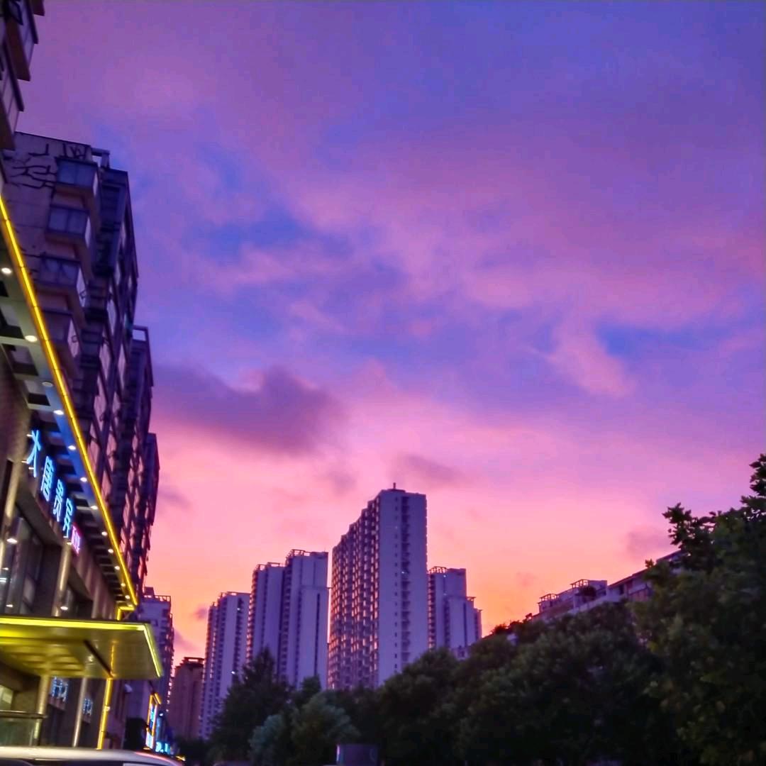 小龙