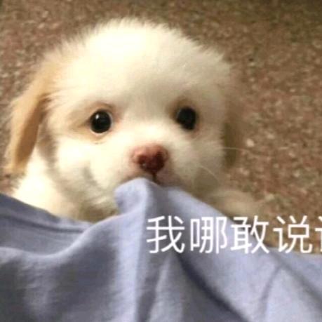 ཀོ陳晃晃ꦿ҉࿐