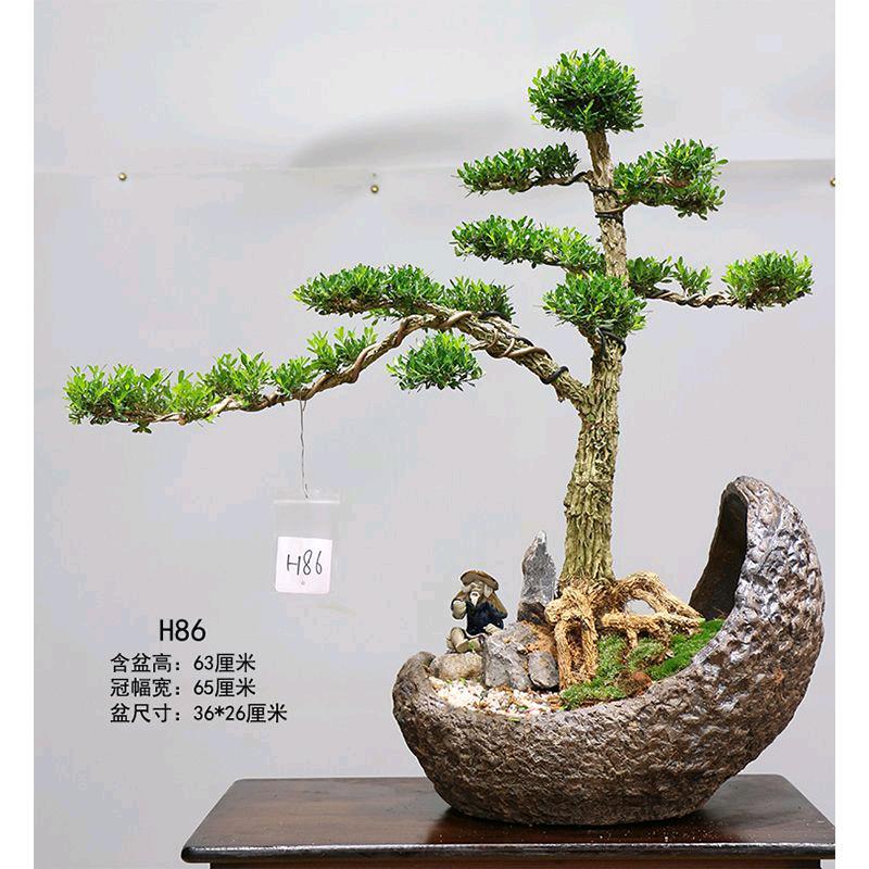 御景亭盆景艺术园