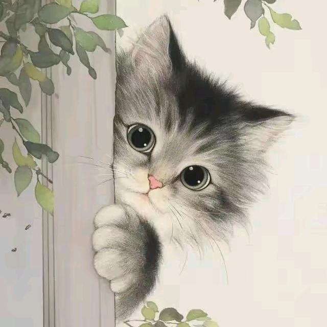 小花猫🐱