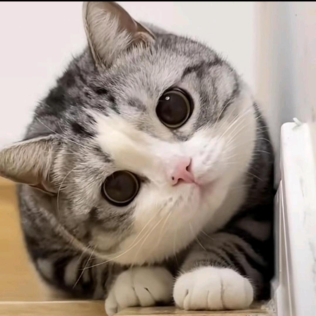 小