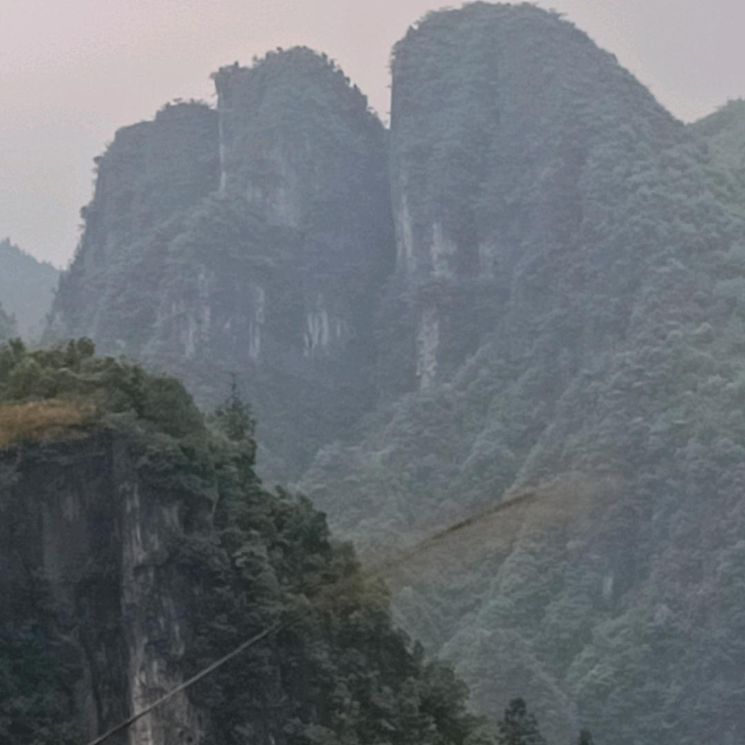 . ☪︎*  ︎.  .✧. 𝓖𝓞