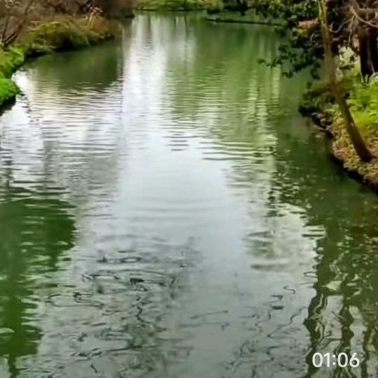 像素跳动兀