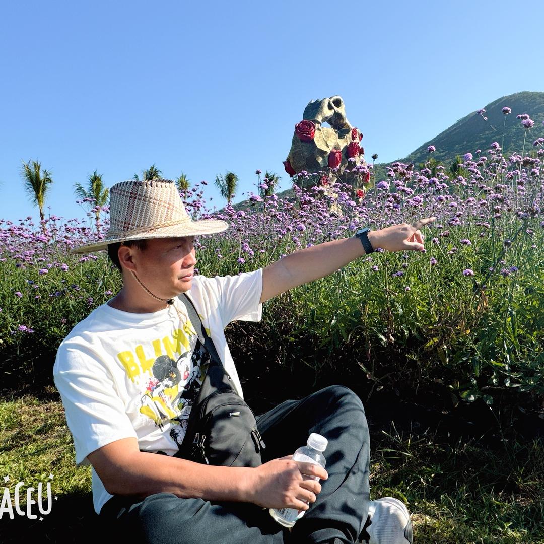 胡杨木创意小铺