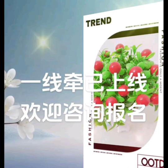 不发脾气只发财💰💰