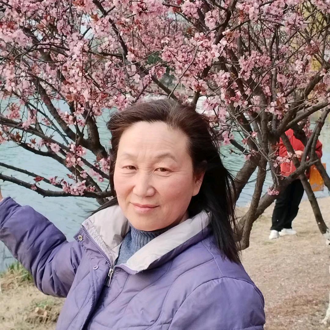 哈皮外婆