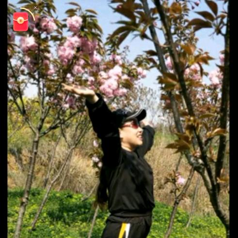 年华似锦