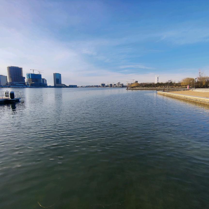 站峰白术种植合作社