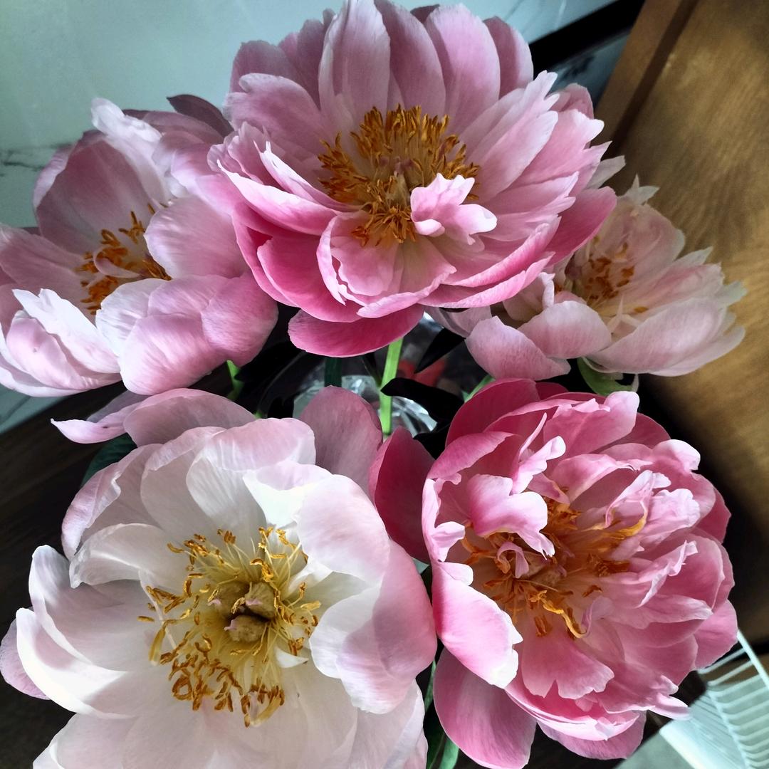 花卉