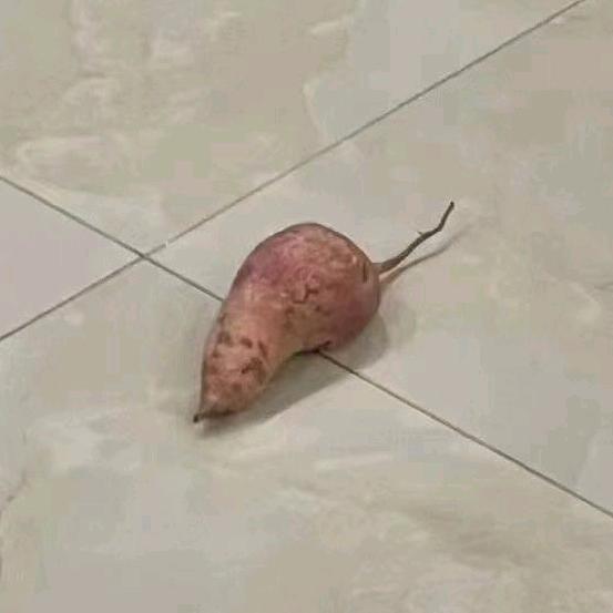 给你上三柱头香