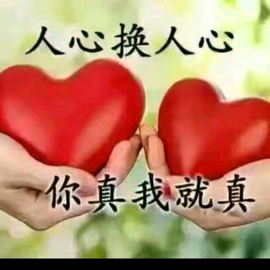文