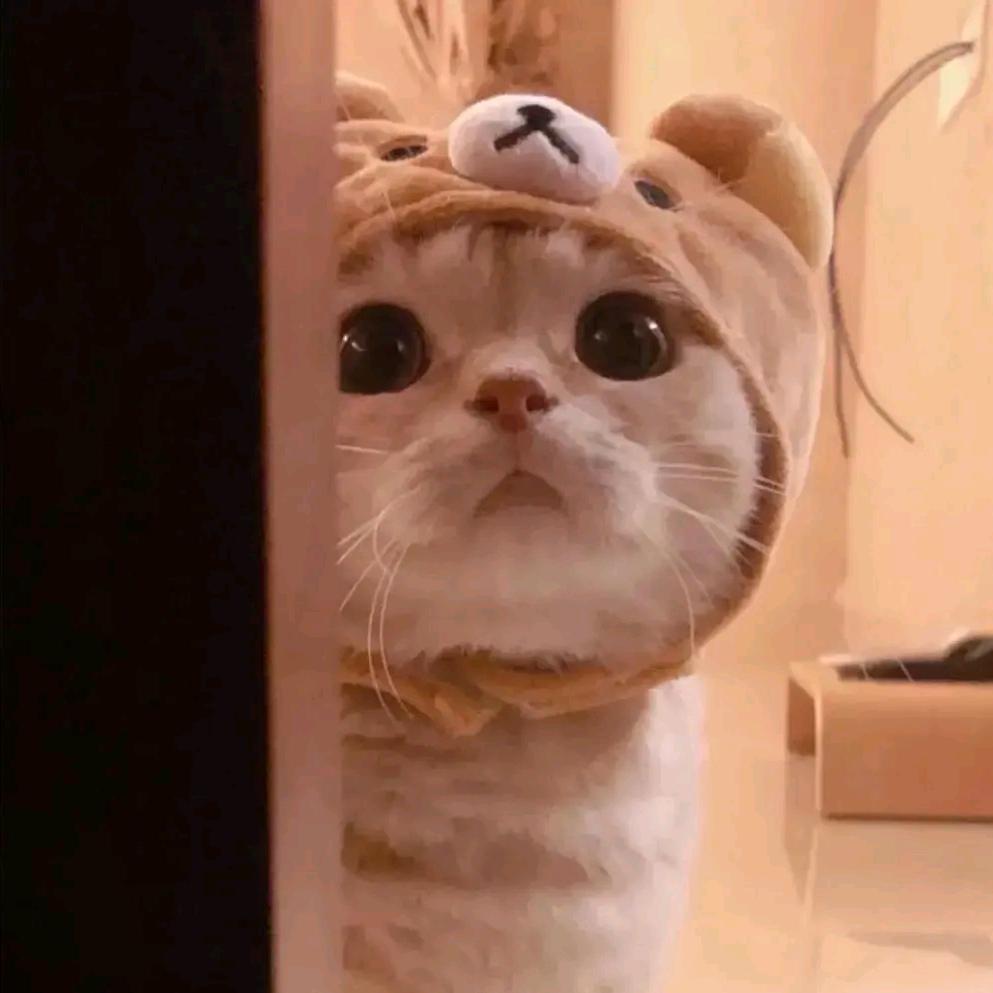 阿郑