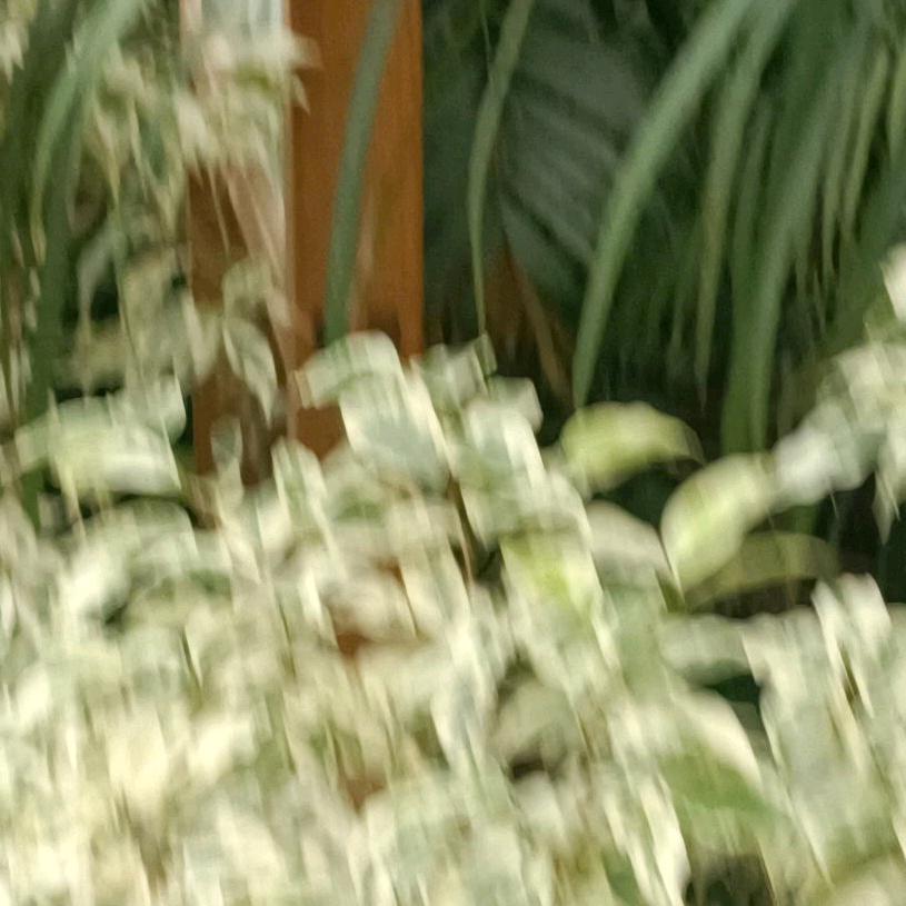 用户2273904850626