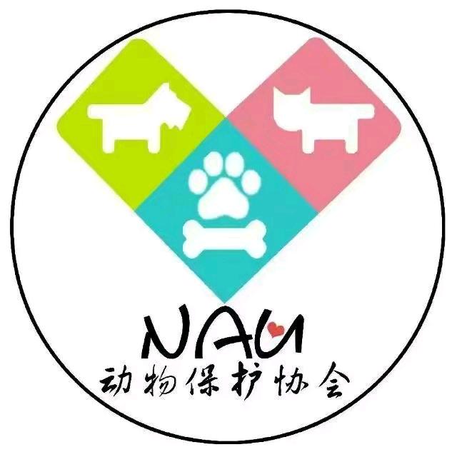 小审家的喵喵酱
