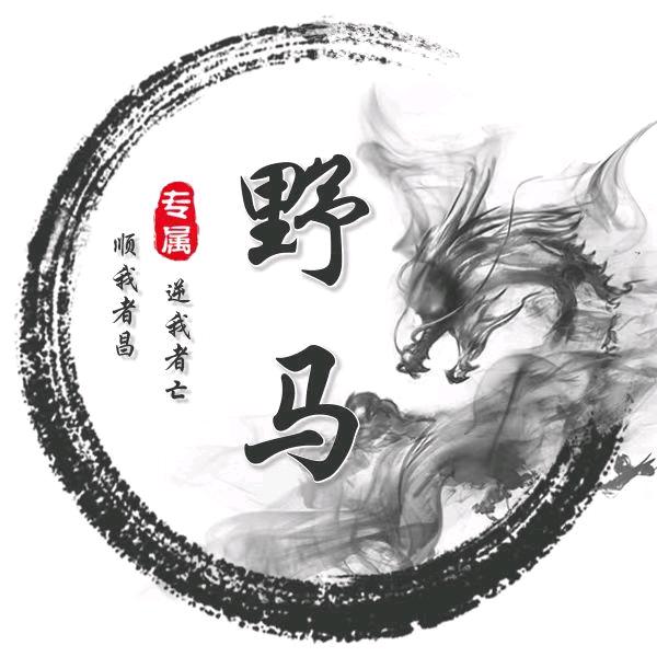 野马🐴影视