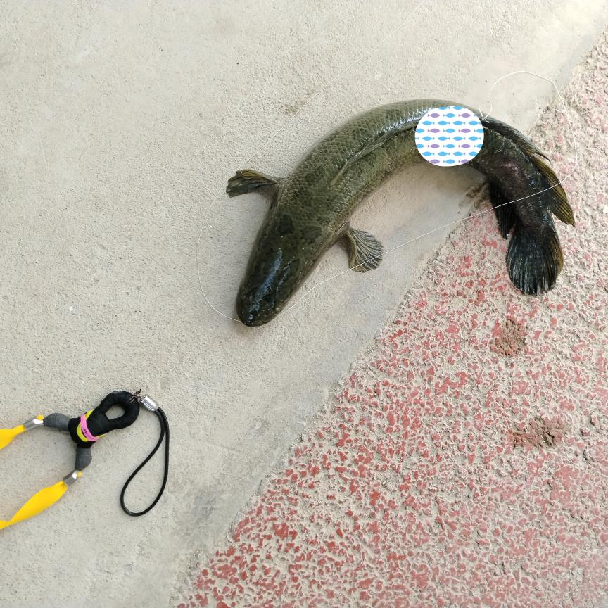 达不溜〈互关〉