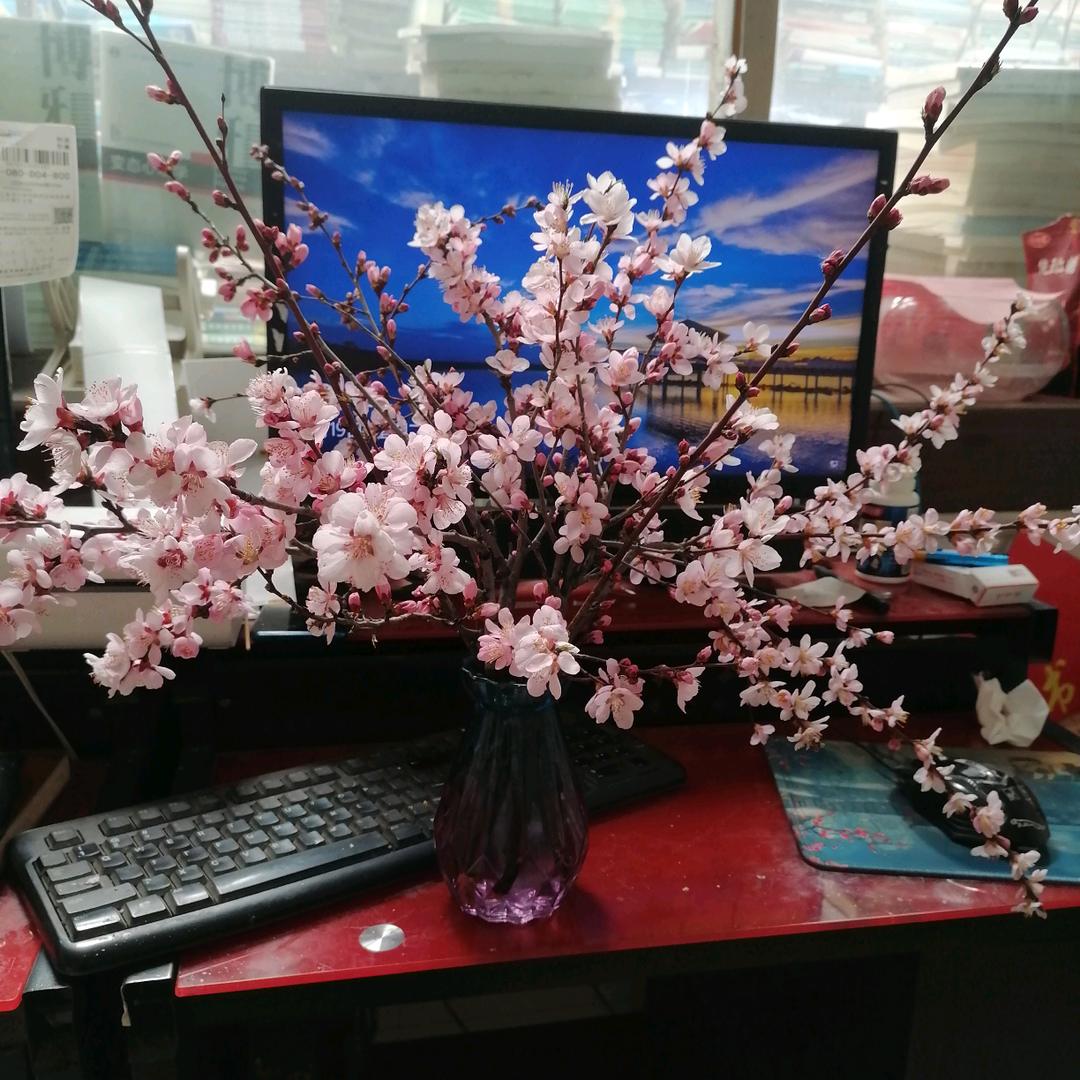 八零后宝妈生活