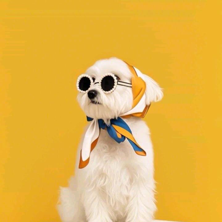 🌈🌈马萨酱的电饭煲