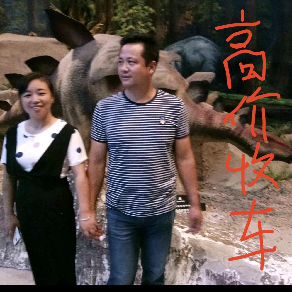 康华物流新旧二手货车买卖（全国高价收车）