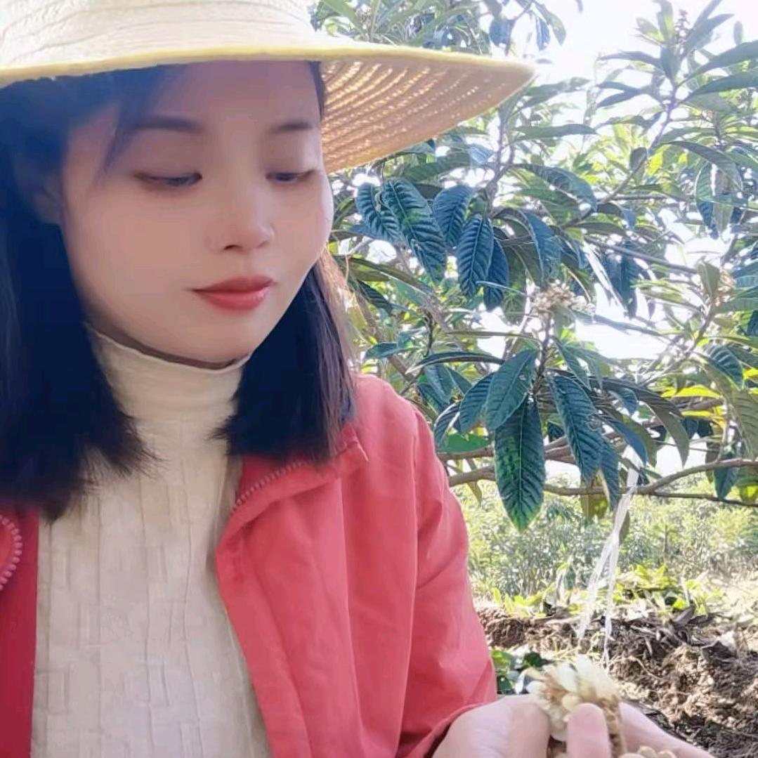 枇杷【萍姐】