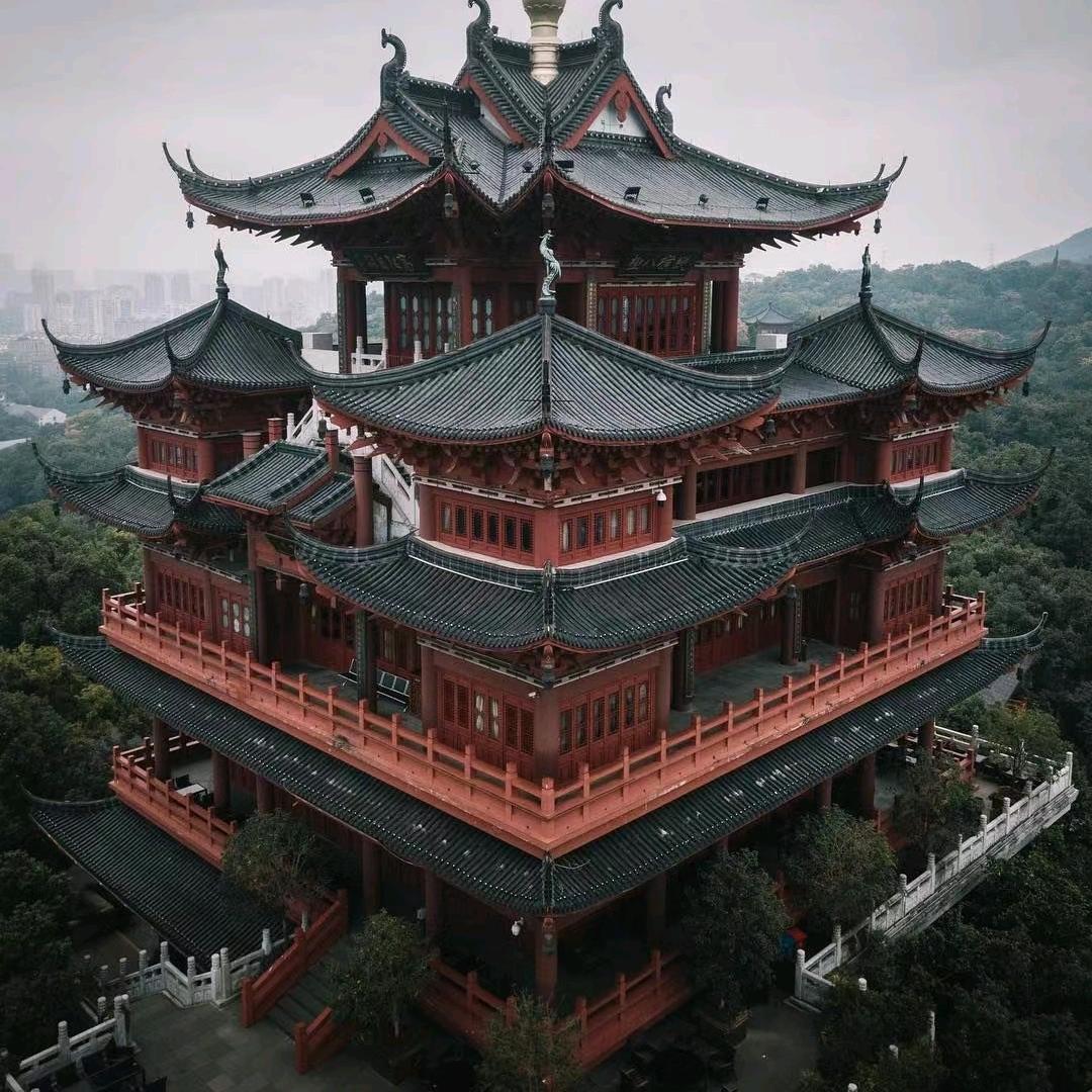 子君读故事