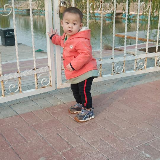 洗衣液金纺卫生纸招代理