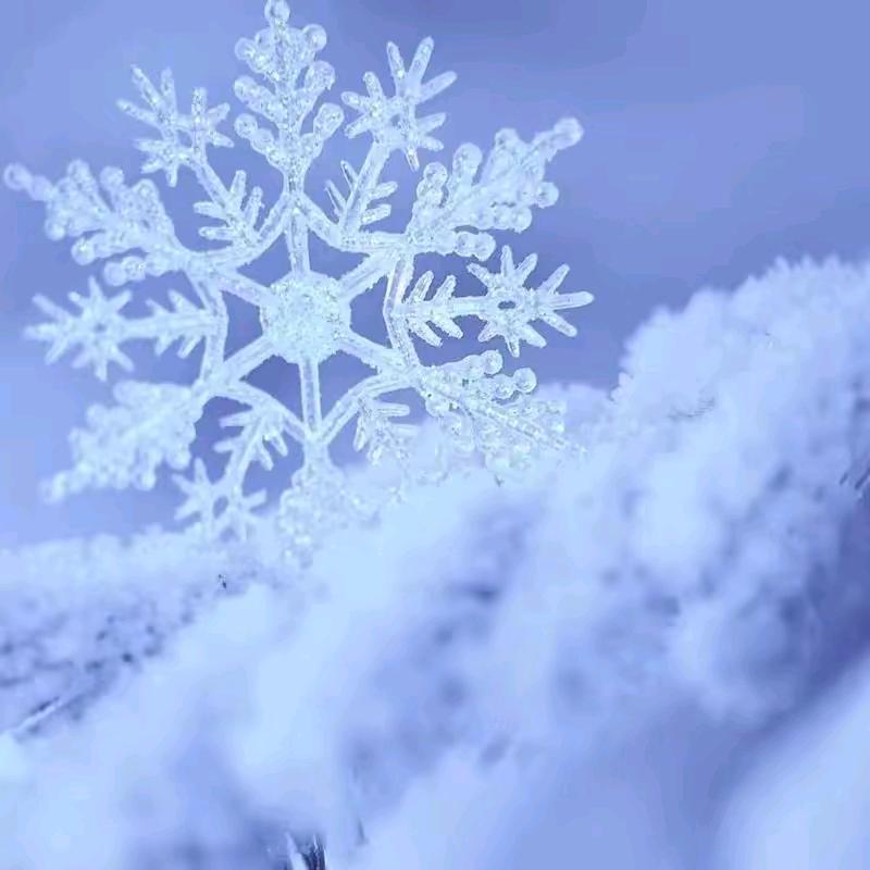 小雪❄️