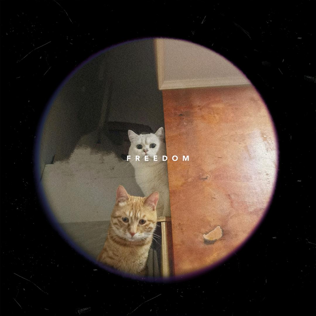 🍂韩韩🍂