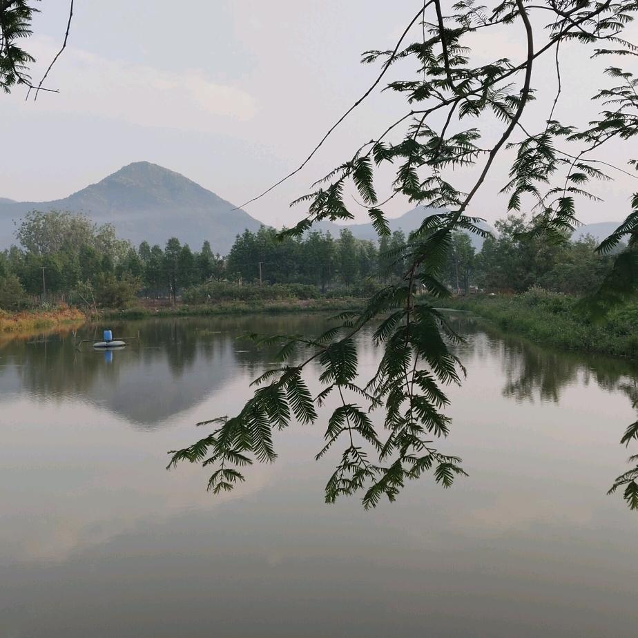 浙江职聘—进厂私信