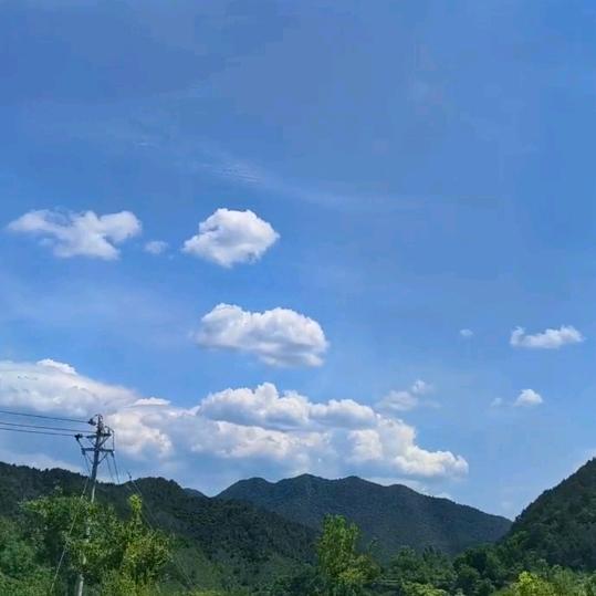木子🍒