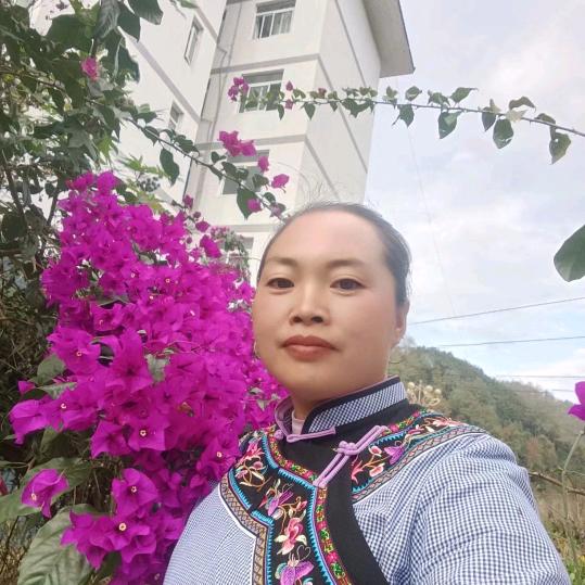 用户秋天的落叶